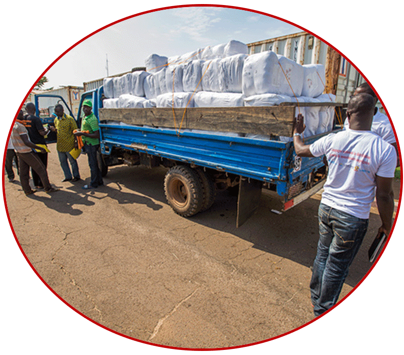 Resource Mobilization & Management in Eswatini by AMICAALL